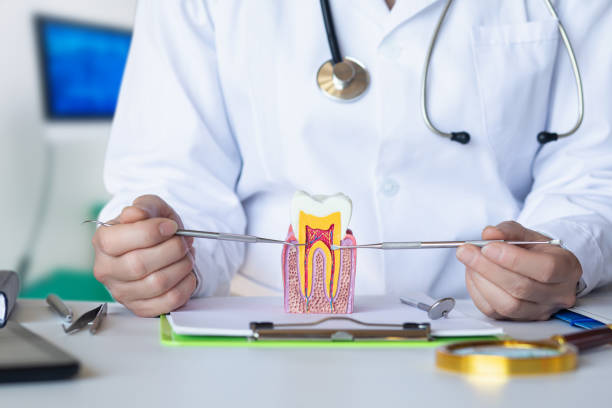 Best Pediatric Emergency Dentist in Crafton, PA